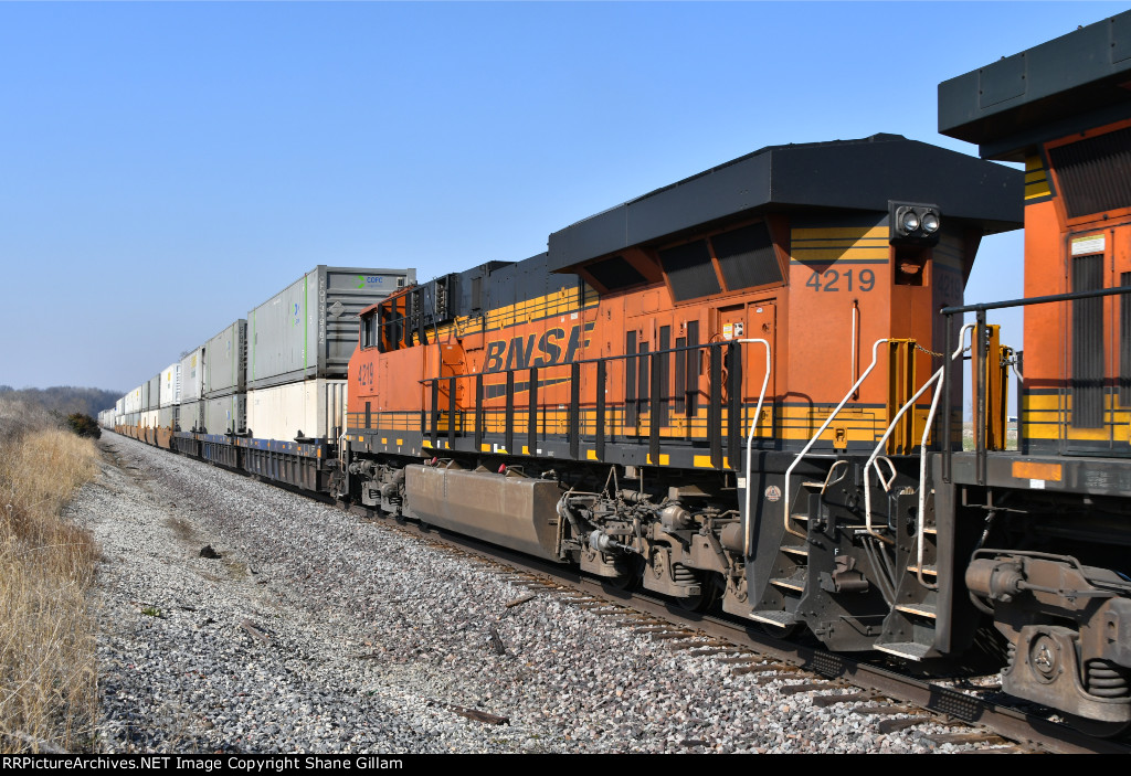 BNSF 4219 Roster shot.